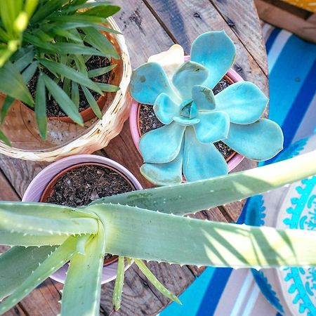 דירות קרלסרוהה The Kalifornia I Stilvoll Mit Urlaubsfeeling I Dachterrasse I Klima מראה חיצוני תמונה